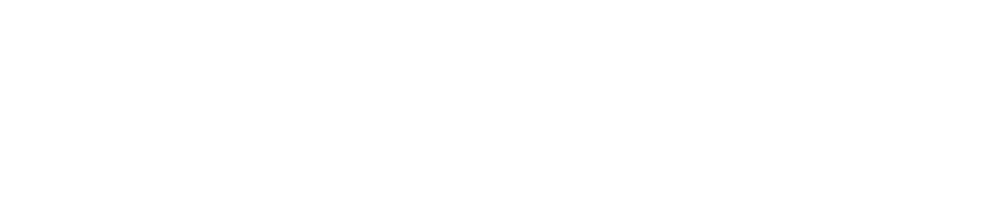 بايوناري